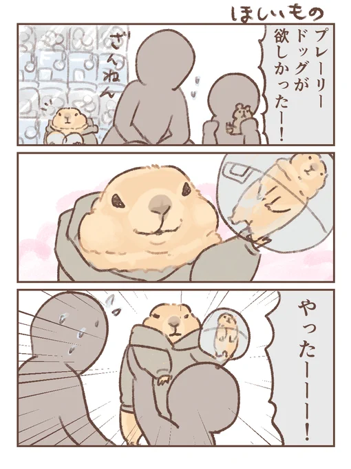 #プレーリードッグ

ほしいもの? 