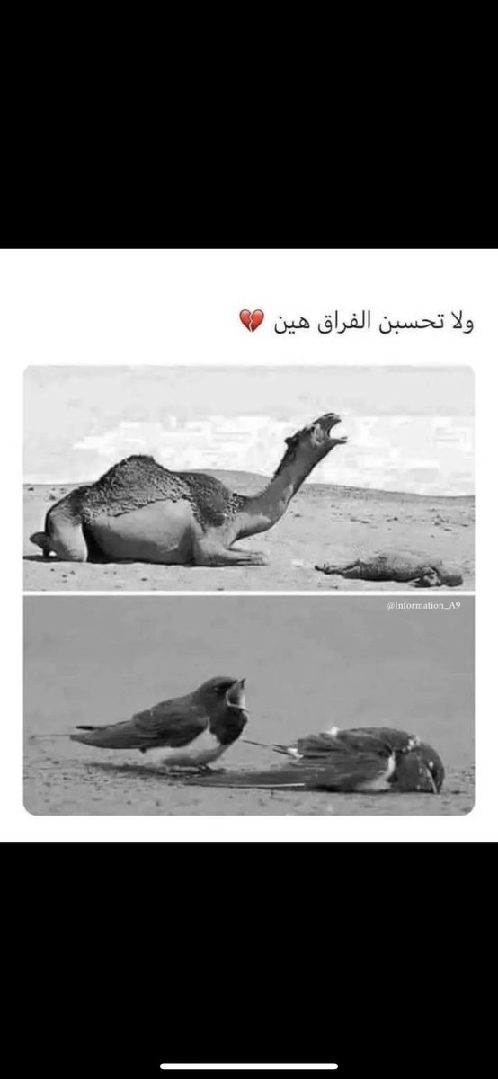 7mood_7L's tweet photo. https://t.co/3IYCTTlxru