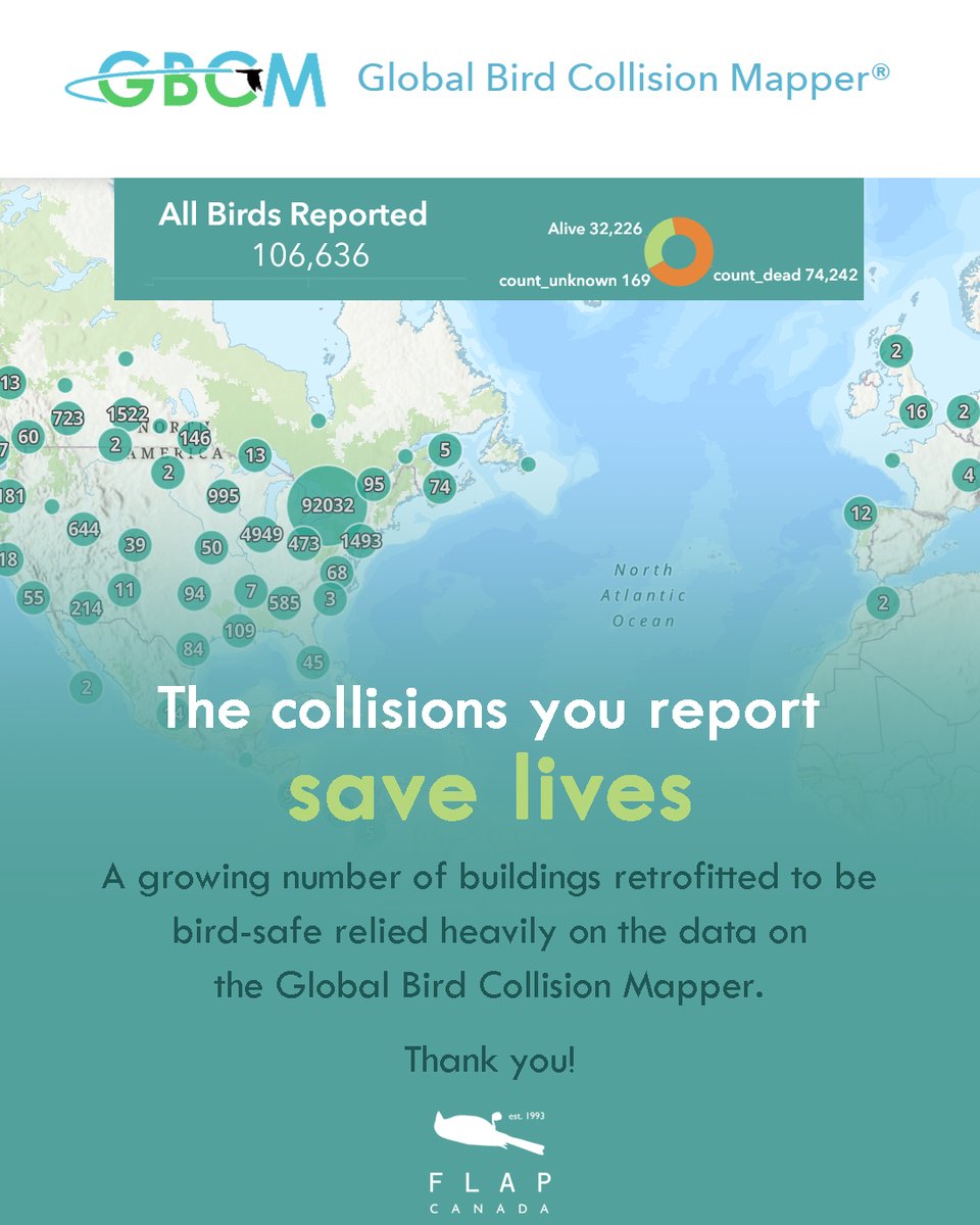 Every bird lost to a window collision is a tragedy, but you can make each of these birds count by reporting them on the Global Bird Collision Mapper. This data is invaluable to the fight for bird-safe buildings. 
 
 birdmapper.org