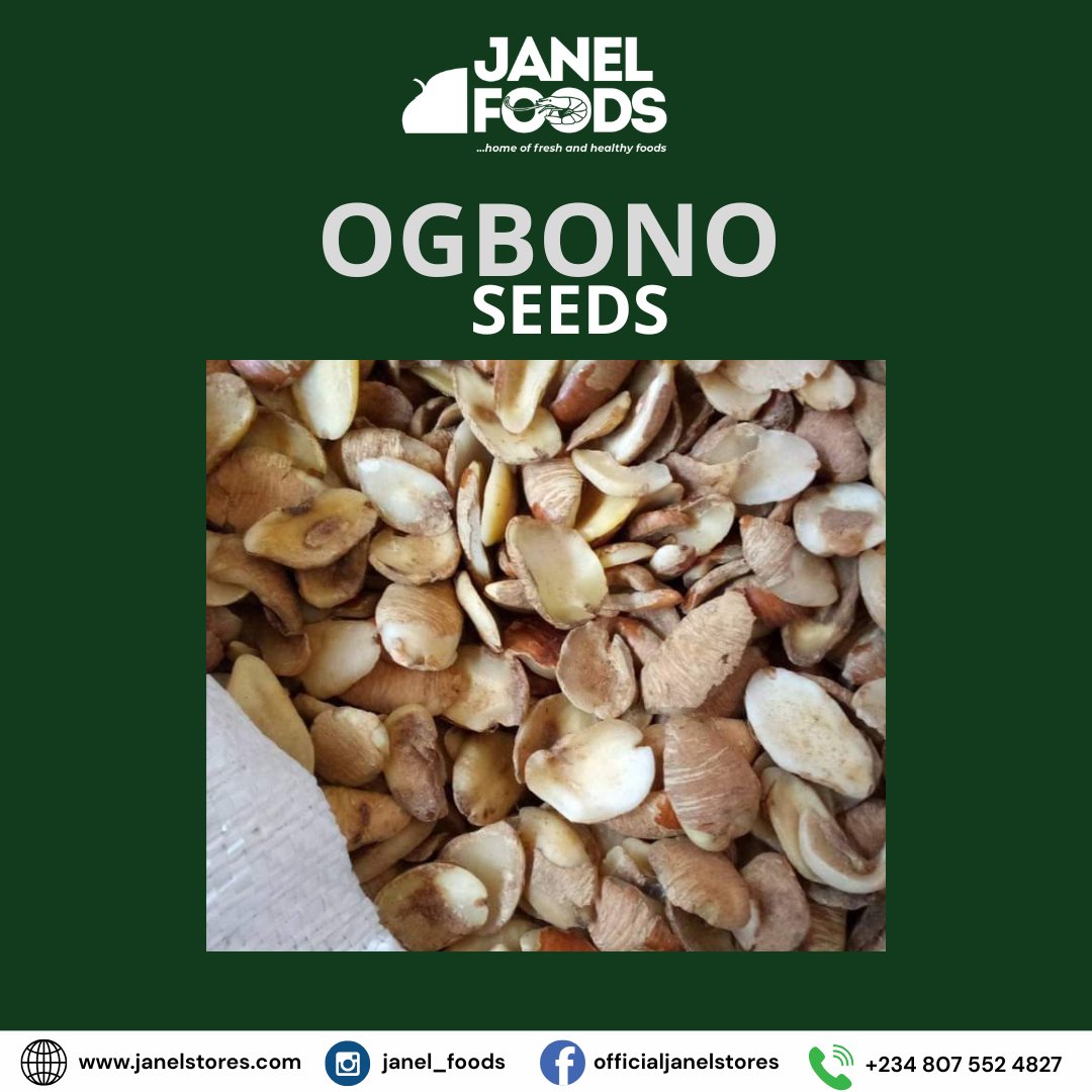 janelfoods's tweet photo. Ogbono seed is fast selling in our store. What are you waiting for? 
Send us a DM to place your order.
Let's serve your foodstuff needs, and you will love it. 

Just 35K a painter.
WhatsApp or call us on: 0807 552 4827

#ogbono
#lagosnigeria
#lagos
#exporter
#janel_foods https://t.co/fNsrlgqbWu