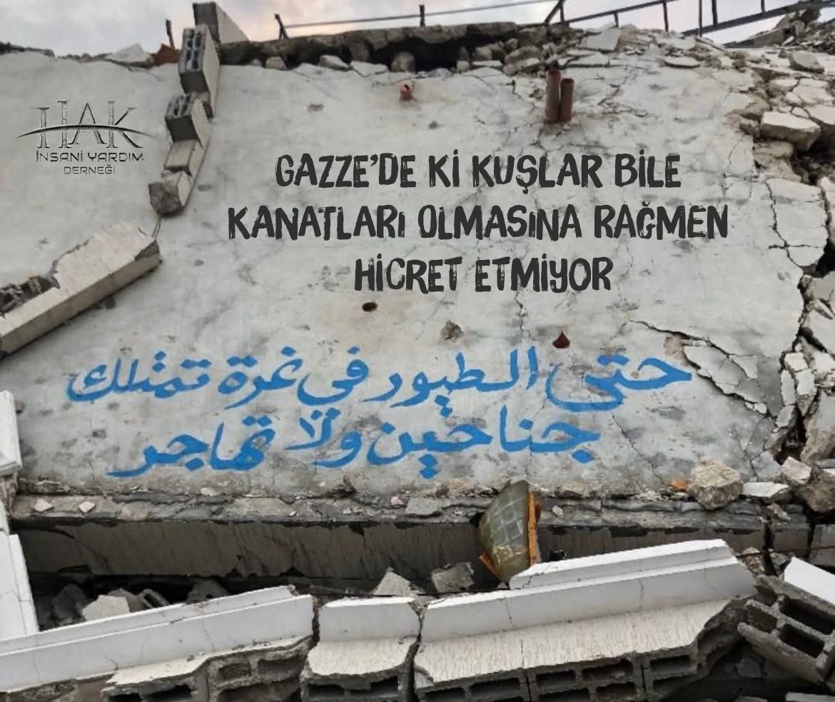 #GazzedeZulümArşaDayandı 
#GazzeÖlüyor