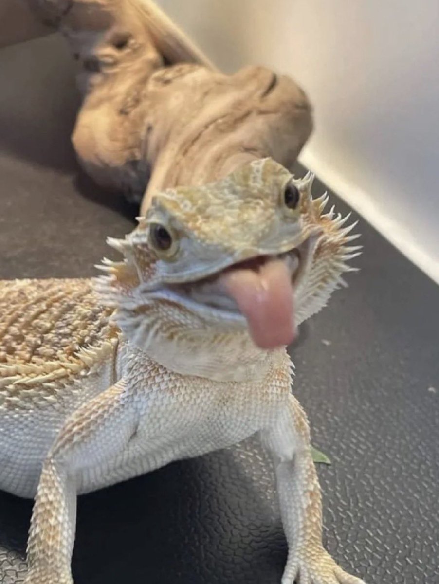 me telling him “have a good day” after i just ruined it