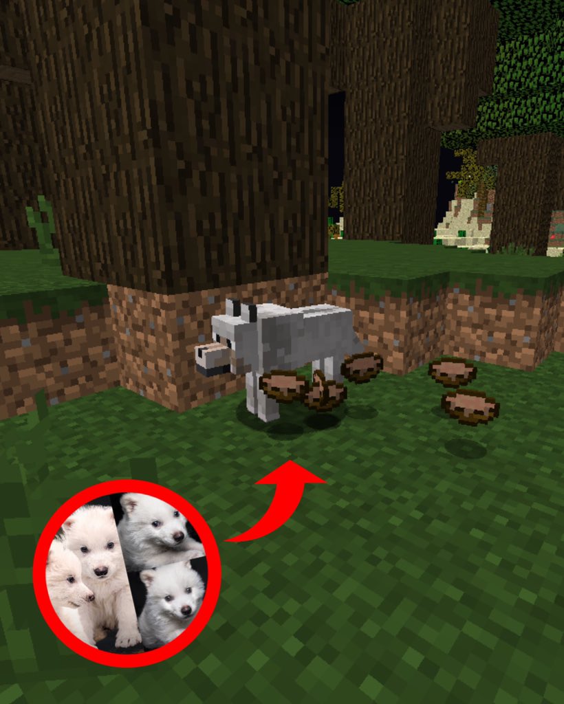 lobo safado pilantra mal respawnou ja ta jogando hg kkkkkkkkkkkkk vacilao