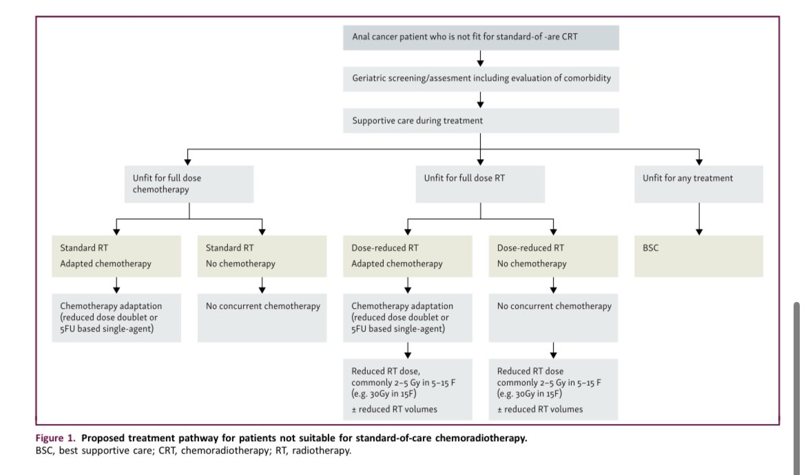 Erman_Akkus's tweet photo. 🏥Treatment of anal SCC in specific patient groups
2 papers in @myESMO GI Oncology

✅Older patients and patients with frailty (algorithm👇)

✅HIV infection should not lead to dose-reduced CRT or distinct systemic therapies for fit patients with CD4 counts >400 cells/mm3 and/or undetectable HIV viral load

👉https://t.co/x8soPkk0tE
👉https://t.co/AhOWyxUIyo

@OncoAlert @realbowtiedoc @BbaharK #cancer #oncology #MedX