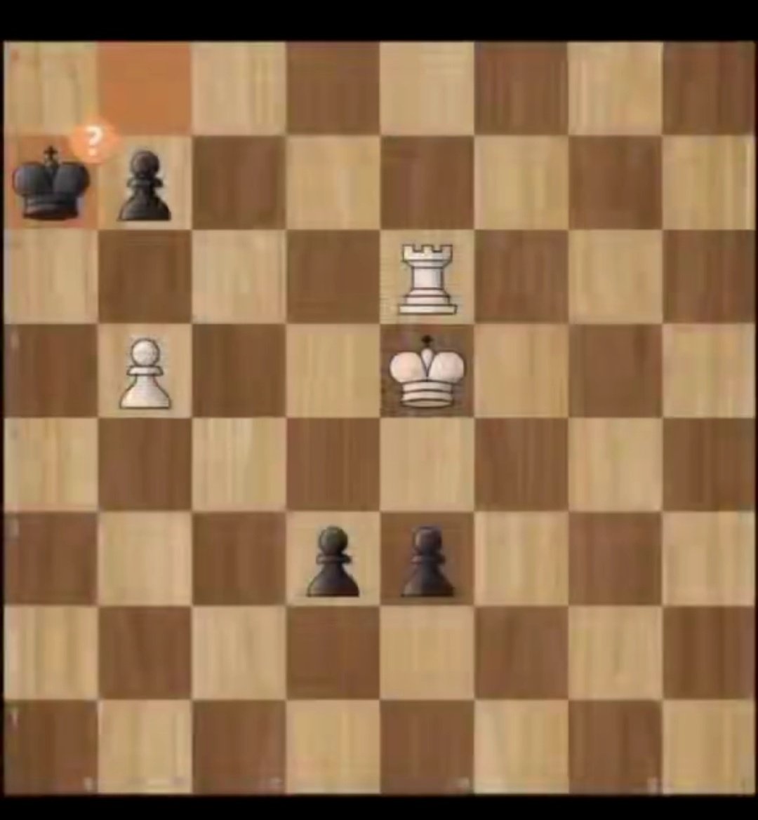 Beyond the Mind Chess tweet media