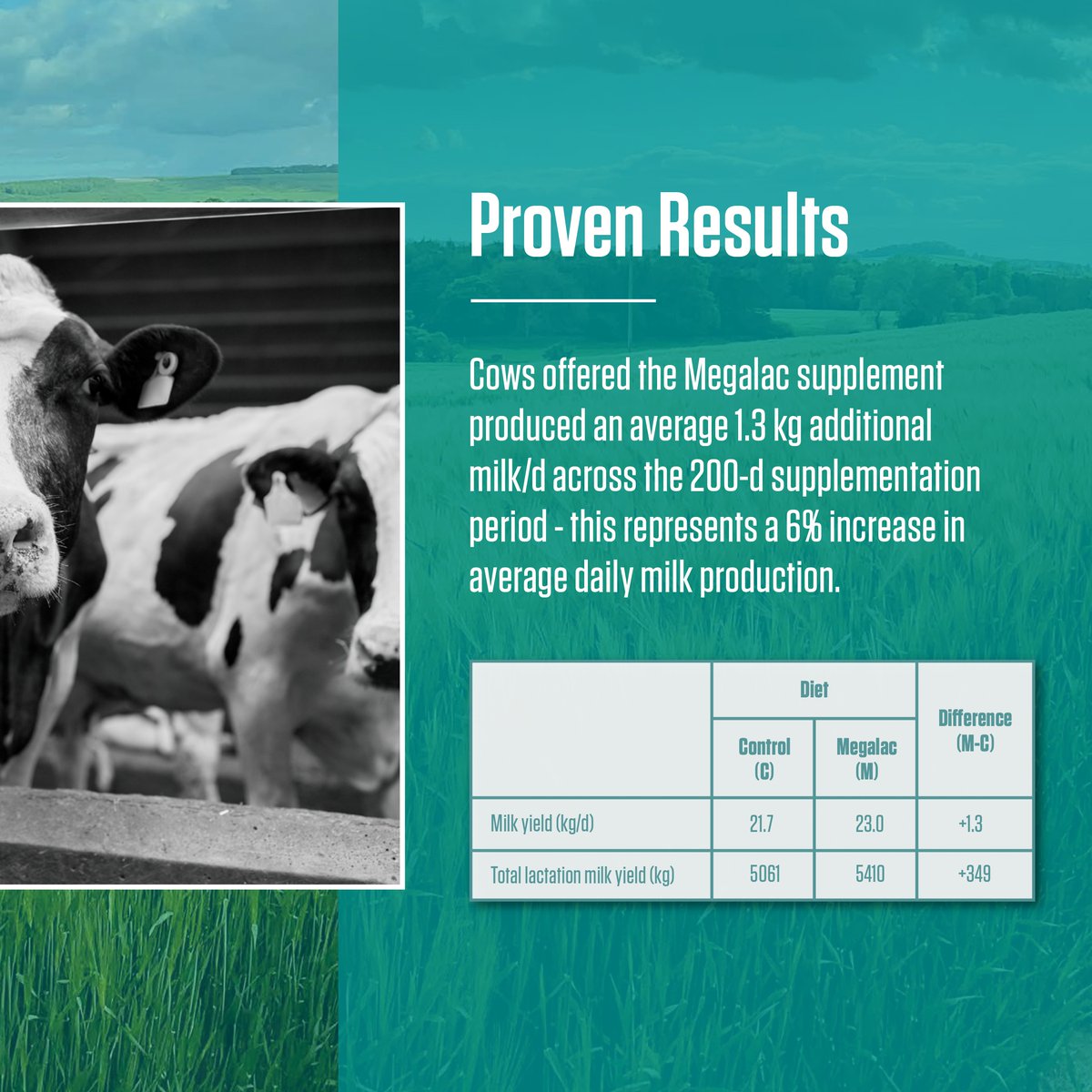 Smarter nutrition for maximised milk production. 🥛📈

With UK farmgate milk prices at 46.01 ppl (<a href="/TheAHDB/">AHDB</a>, Jan 2025), farmers are prioritising higher yields.

How can nutritionists help them maximise ROI? Discover science-backed strategies. 📺

#DairyCowNutrition