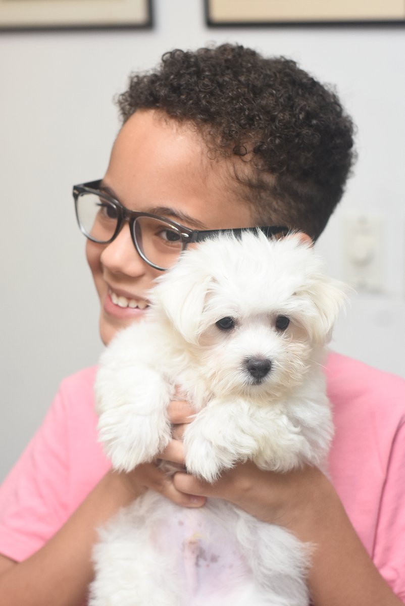 AnimedRD's tweet photo. 🐶✨ En Animed, ofrecemos el servicio de consulta para cachorros porque sabemos lo importante que es su primera visita para garantizar un desarrollo saludable ❤️.
✔️ Evaluación general de salud 🩺
✔️ Inicio de su esquema de vacunación 💉
✔️ Desparasitación y control de parásitos https://t.co/Qevwr7G6ax