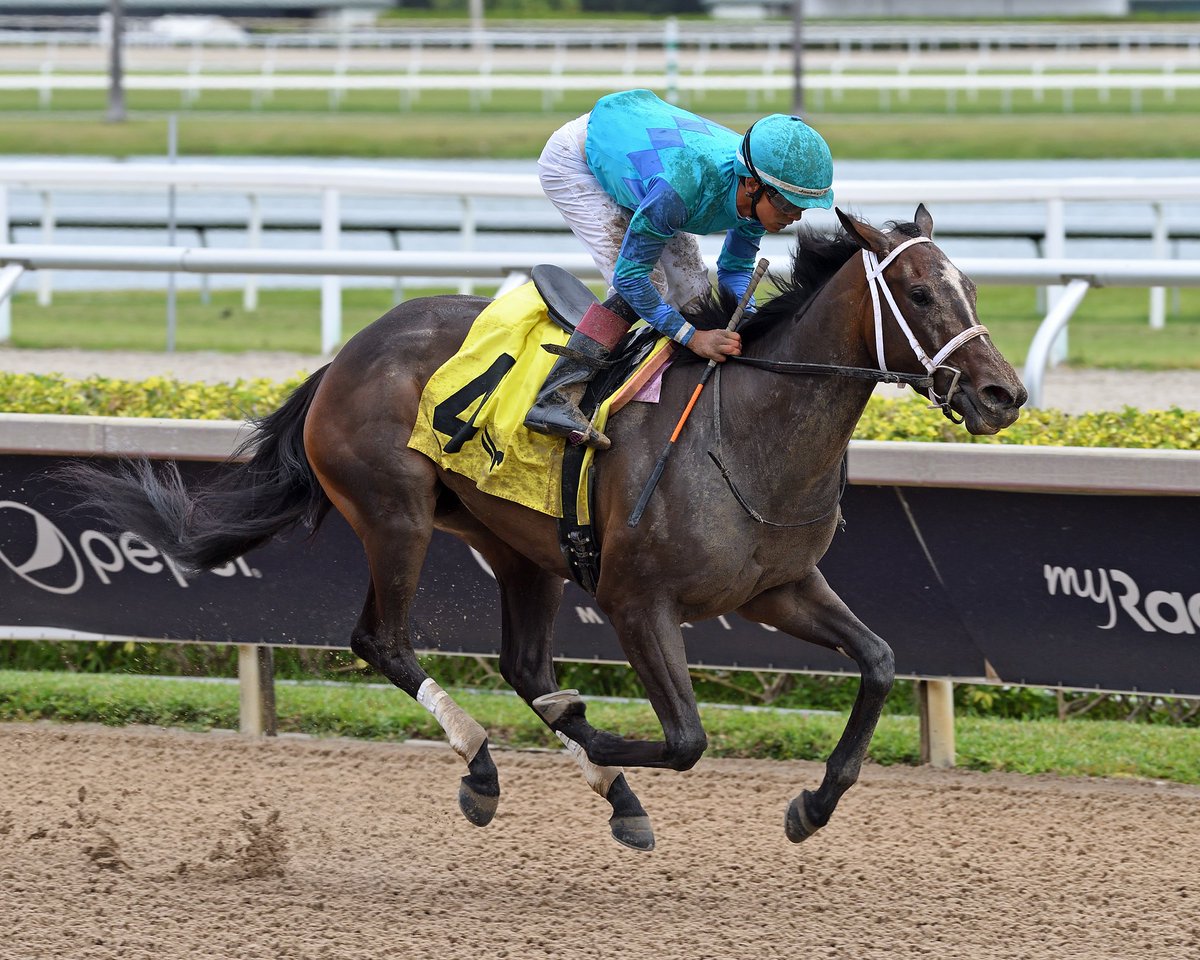 Gulfstream Park (@gulfstreampark) on Twitter photo Cat Chat powers home to capture the opener, <a href="/zayas_edgardo/">Edgardo Zayas</a> rode for trainer <a href="/Hennigracing/">Hennigracing</a>, and owners R. Lee Lewis and Anthony Lewis. #GulfstreamPark #RoyalPalmMeet Cat Chat powers home to capture the opener, <a href="/zayas_edgardo/">Edgardo Zayas</a> rode for trainer <a href="/Hennigracing/">Hennigracing</a>, and owners R. Lee Lewis and Anthony Lewis. #GulfstreamPark #RoyalPalmMeet