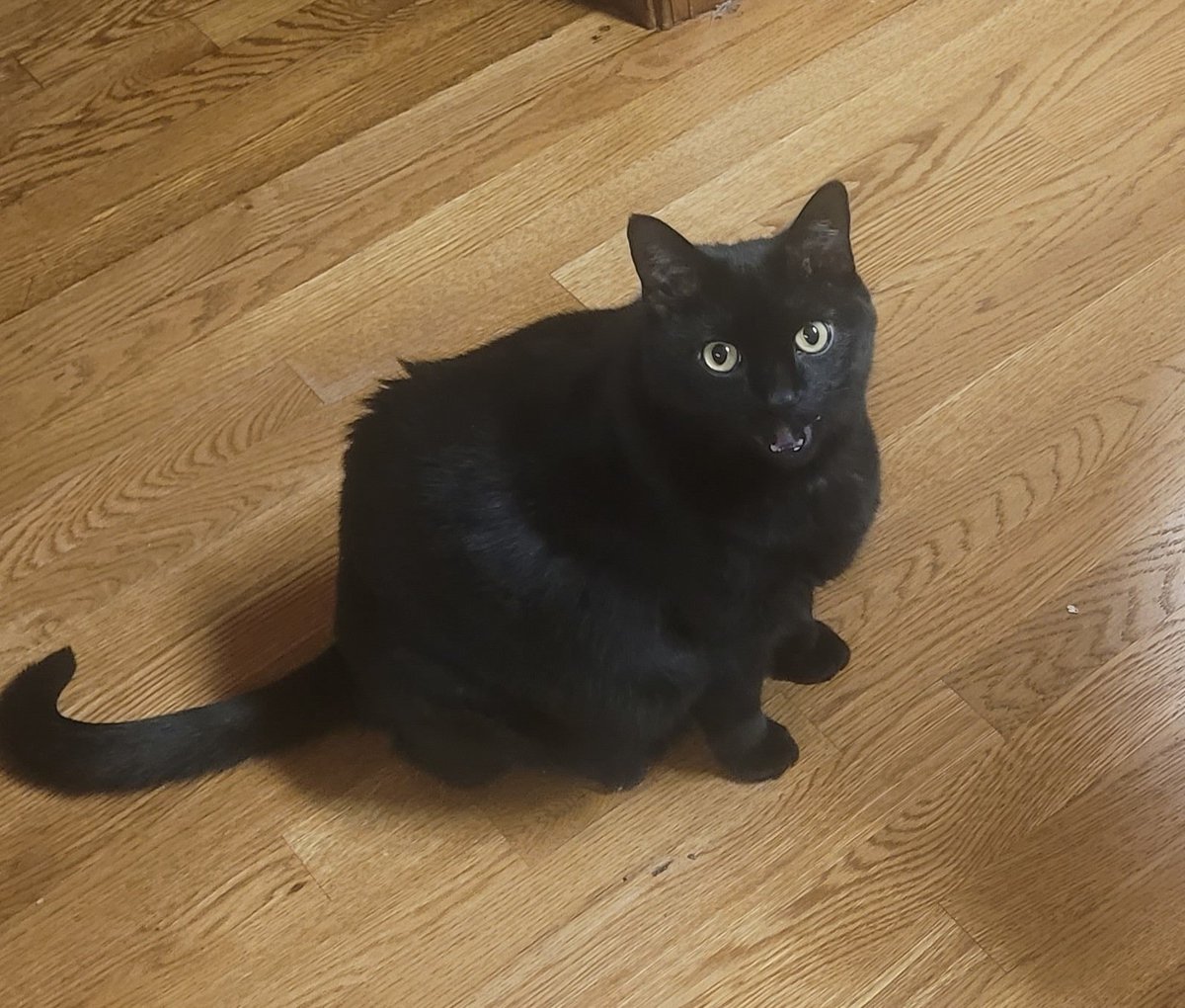 Scott Caskie, Golf Course Superintendent tweet media