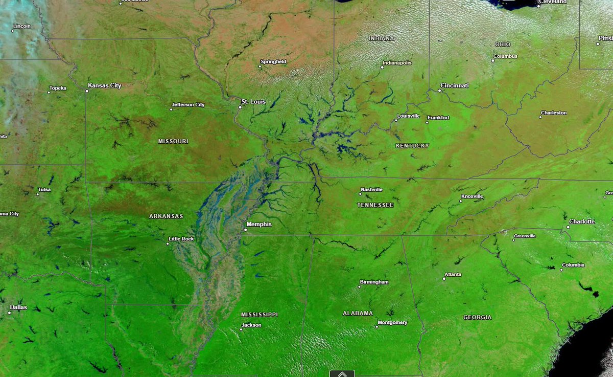 😮A satellite view of the flooding around the Ohio &amp; Mississippi Rivers.