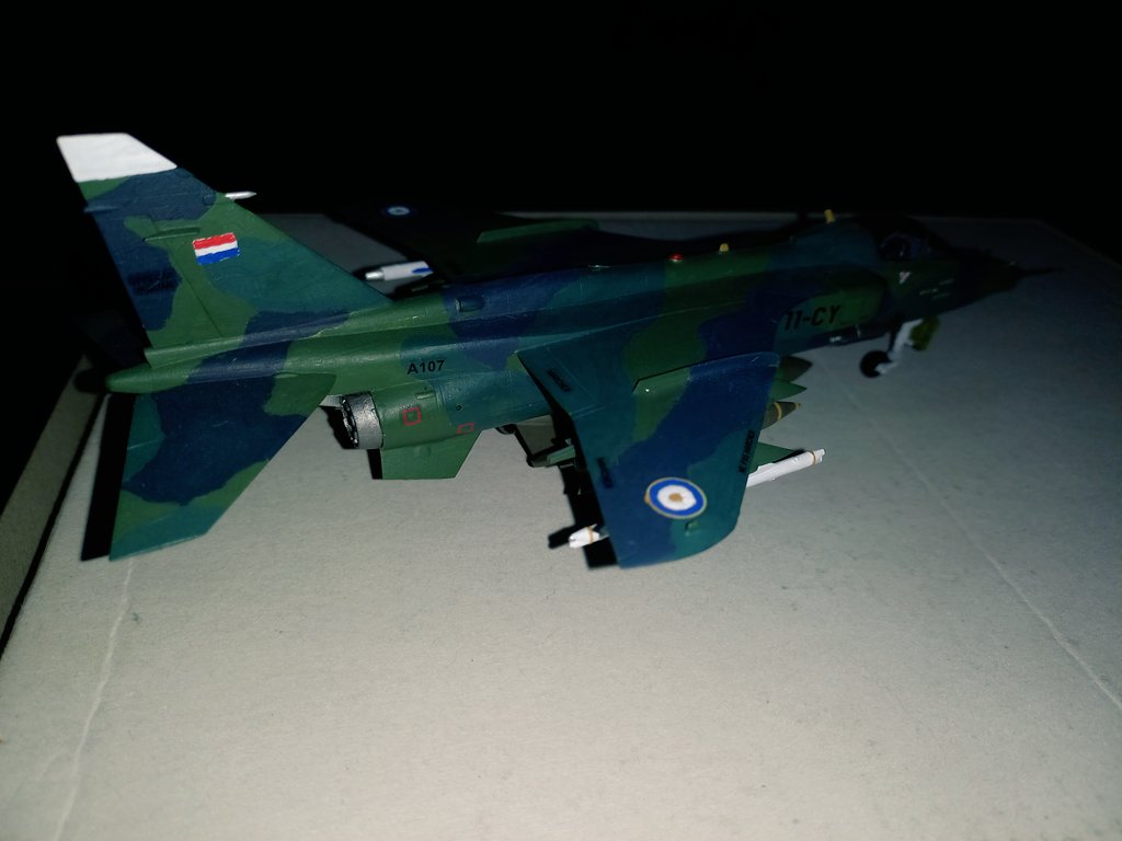 amato_tania's tweet photo. Y después de más de un mes finalmente termine el Jaguar A en escala 1/72. Lo malo de los jets modernos llevan mucho tiempo #Jaguar #JaguarA #Scale172 #Hobbyboss https://t.co/7yMrgBWOWu