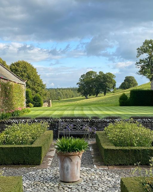 ᅠ ᅠ (@greendreaams) on Twitter photo 