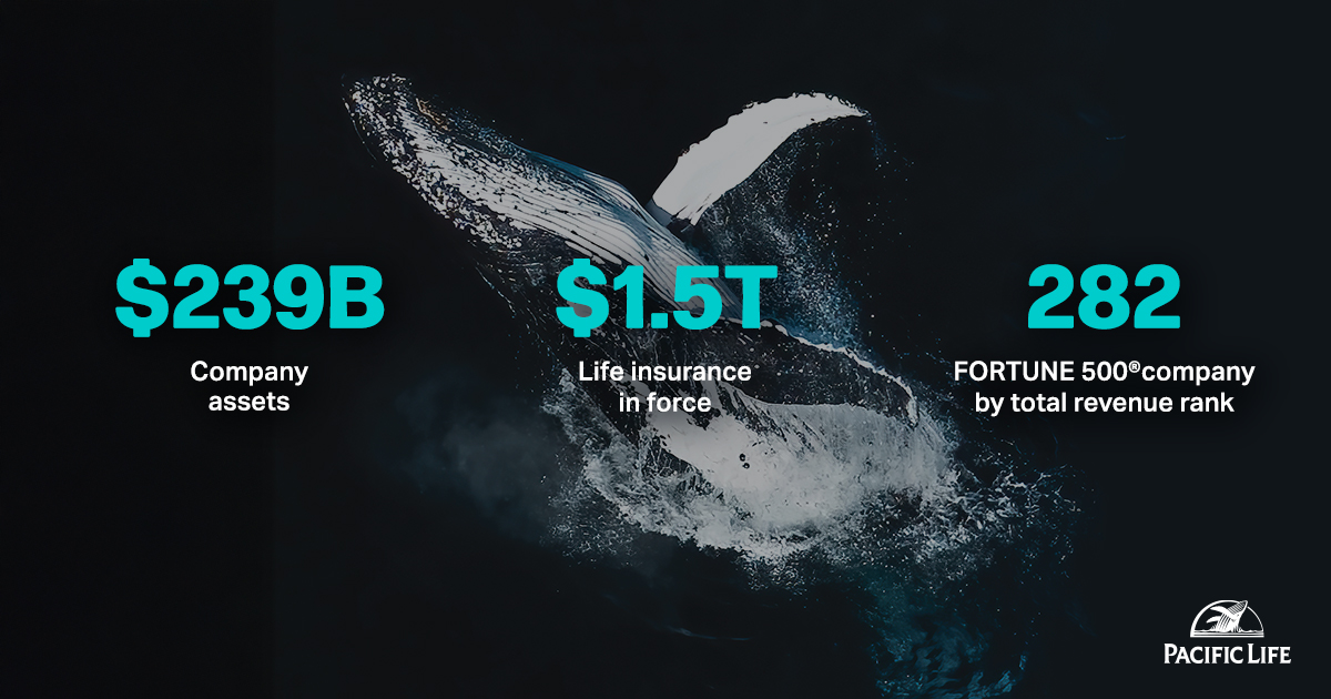 Pacific Life tweet media