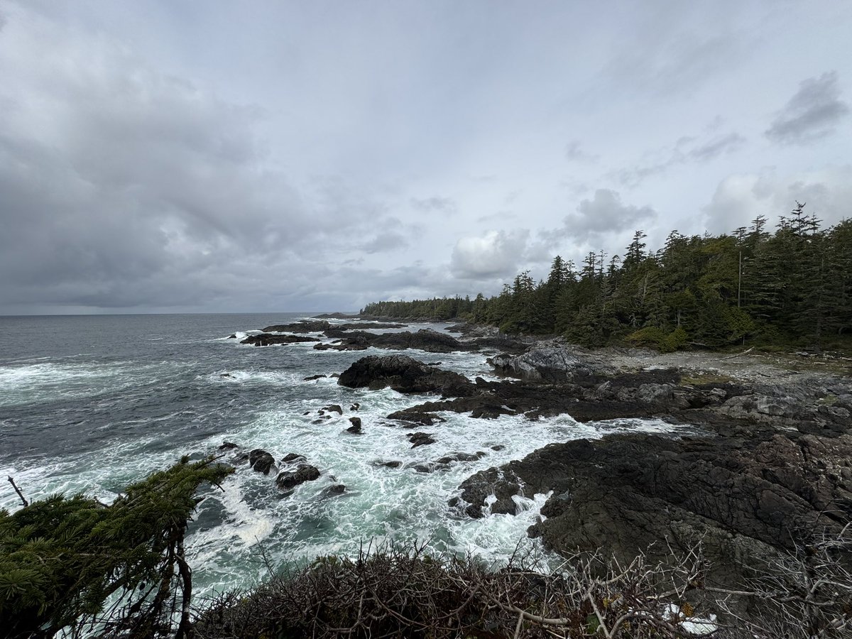IAmCarlJensen's tweet photo. Another stunning visit to the beautiful Wild Pacific Trail in #Ukee on the Wild West Coast of #VanIsle! #Tofino @TourismUcluelet @UclueletGov https://t.co/5jodWTCwKZ