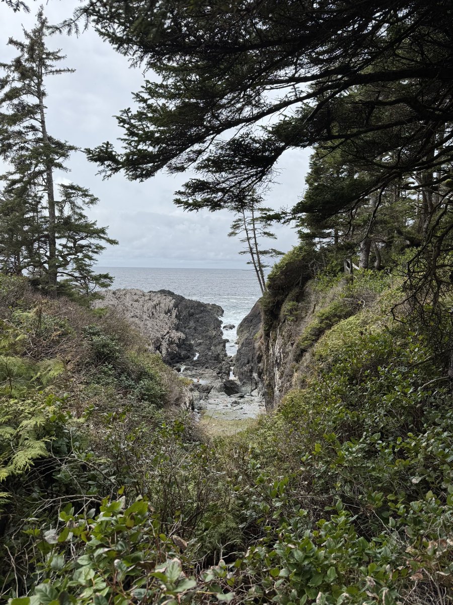 IAmCarlJensen's tweet photo. Another stunning visit to the beautiful Wild Pacific Trail in #Ukee on the Wild West Coast of #VanIsle! #Tofino @TourismUcluelet @UclueletGov https://t.co/5jodWTCwKZ