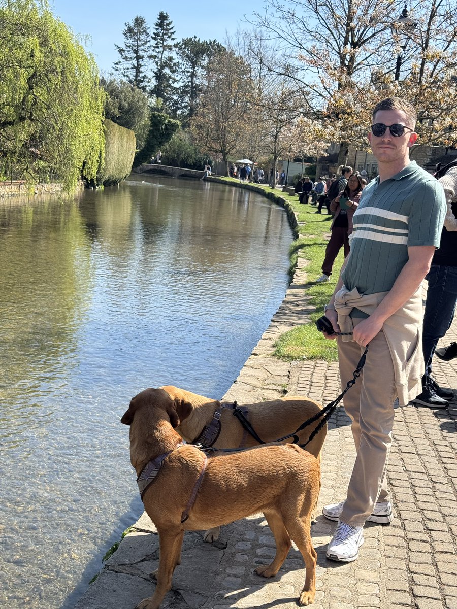 daniel lawlor tweet media