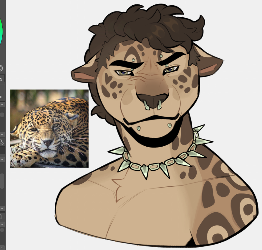 jaguar design 🤍