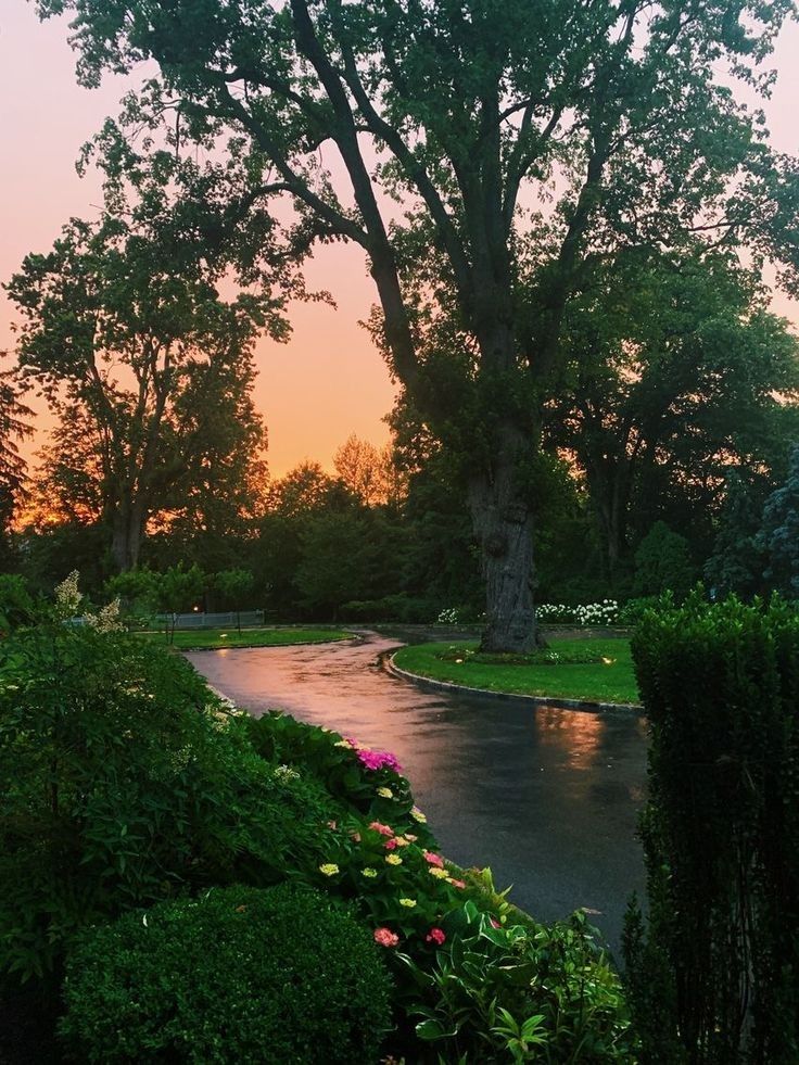 ᅠ ᅠ (@greendreaams) on Twitter photo 