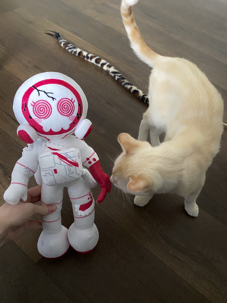 floatyspacerock's tweet image. Took a few months but she finally arrived ☺️☺️