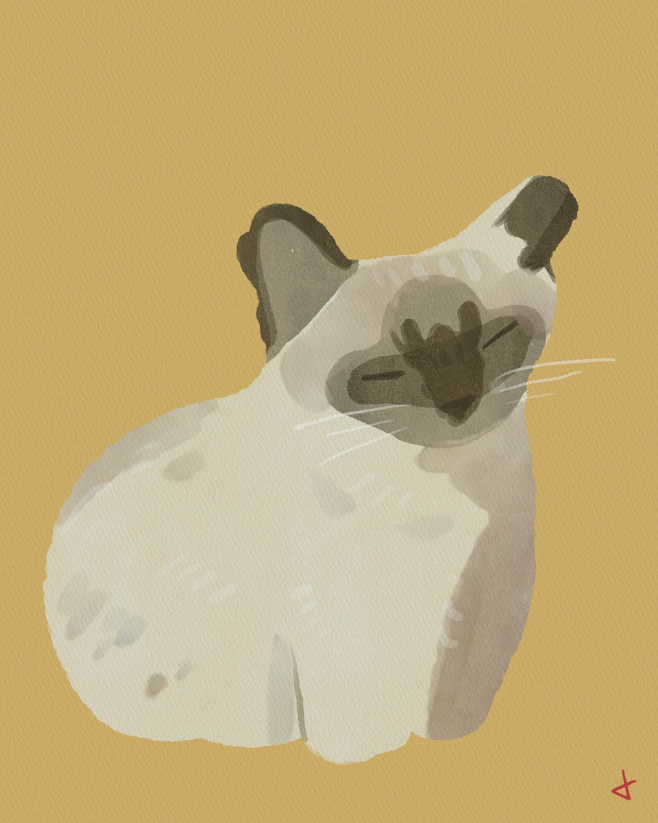 MapacheRex's tweet photo. A Duke le ha pasado de todo: Le mordieron su pierna, lo abandonaron, le dió TVT, lo comían las pulgas y ahora tiene otra cosa. Requiere estudios. Haré Tonti-Dibujos para combatir la IA y atender a este perro de la calle. ¿Quieres apuntar a tu mascota? ¡Que sea 2X1! https://t.co/Z35Fv7fSl3