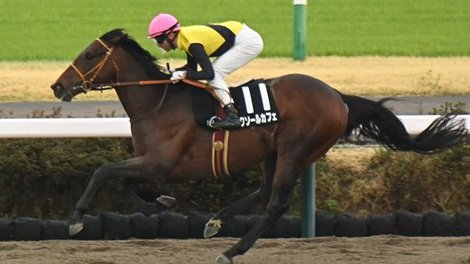 blindadosalas1's tweet photo. #Hipismo ¡DEFINITIVO! Es cuestión de horas para que LUXOR CAFE 🇯🇵 llegue a #ChurchillDowns En definitiva será de 18 locales y 2 internacionales el #FullField para el #KentuckyDerby Ahora veremos cuántos de esos 18 probables darán un paso al costado. Insisto que será récord. https://t.co/cAoE6o48ly