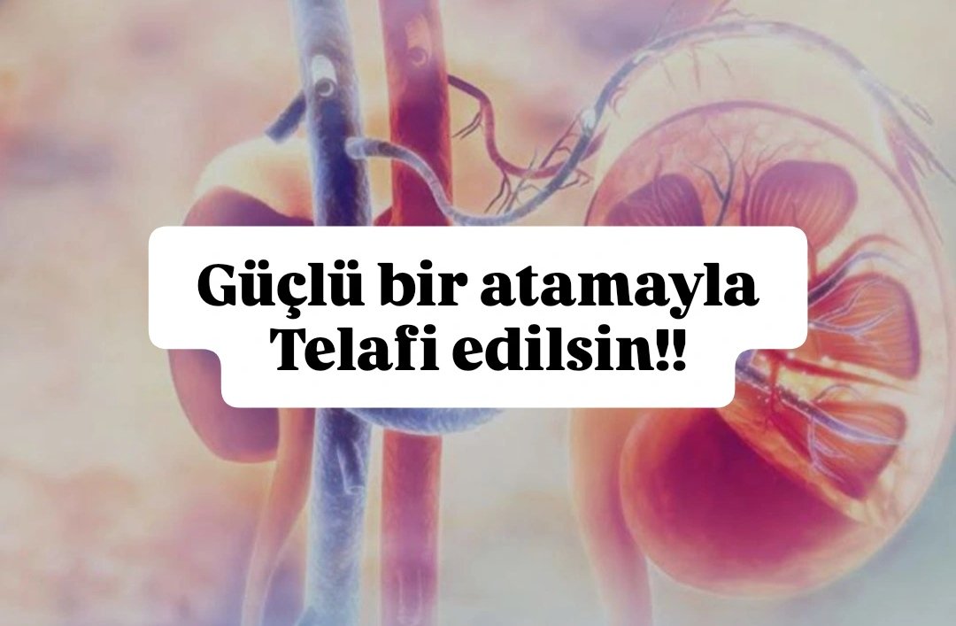 sterildiyalizor's tweet photo. @ahmetesmer2121 @drmemisoglu Aylardır 80+ puanlarla atama bekliyoruz. Diyaliz teknikerleri olarak yıllardır uygulanmayan yönetmeliğin takipçisiyiz. Mağduriyetimizi güçlü bir atama ile telafi etmenizi umut ediyoruz.
@drmemisoglu 
@memetsimsek @saglikbakanligi @sbkhgm https://t.co/bkGa10VLOQ