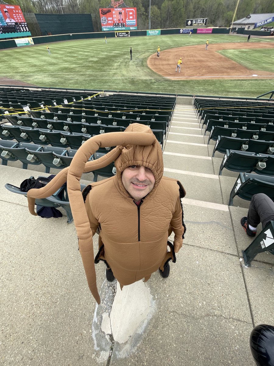 PohlAdam's tweet image. #SQUASHED