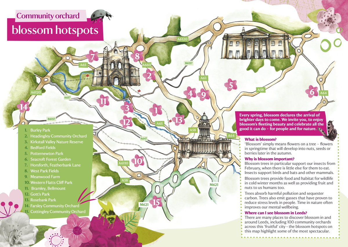 Love Leeds Parks tweet media