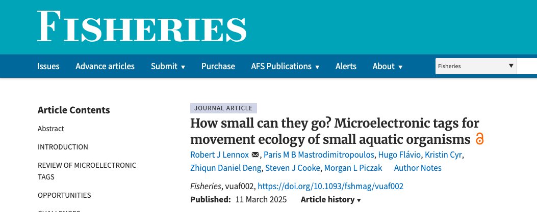 New paper alert! Miniaturized tags = big opportunities. OTN’s @fisheriesrobert &amp; collaborators explore how tiny tech is opening new doors to study small aquatic species + life stages. academic.oup.com/fisheries/adva…