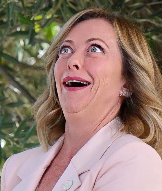 Lucrezia #antifascista #pacifista #pro-pal tweet media