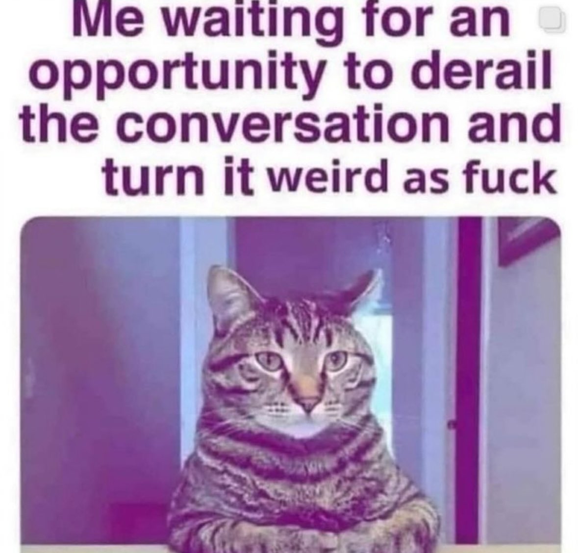 literallymecats's tweet photo. https://t.co/4XIZyYJq74