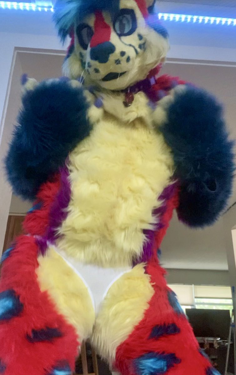 Sashimi Cheetah! 🔞 tweet media