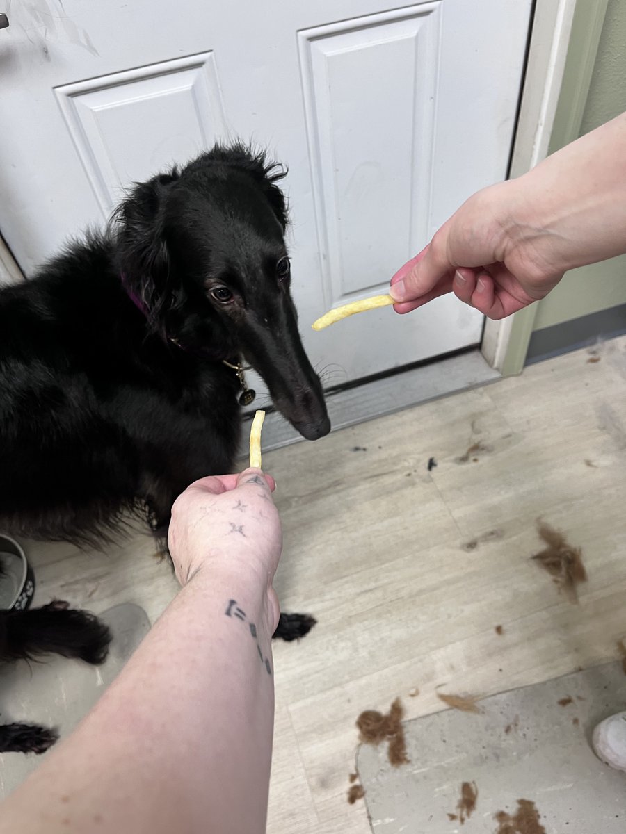 mutetroop's tweet photo. WHY DONT YOU WANT MY FRENCH FRY https://t.co/g7jsMFm6M8