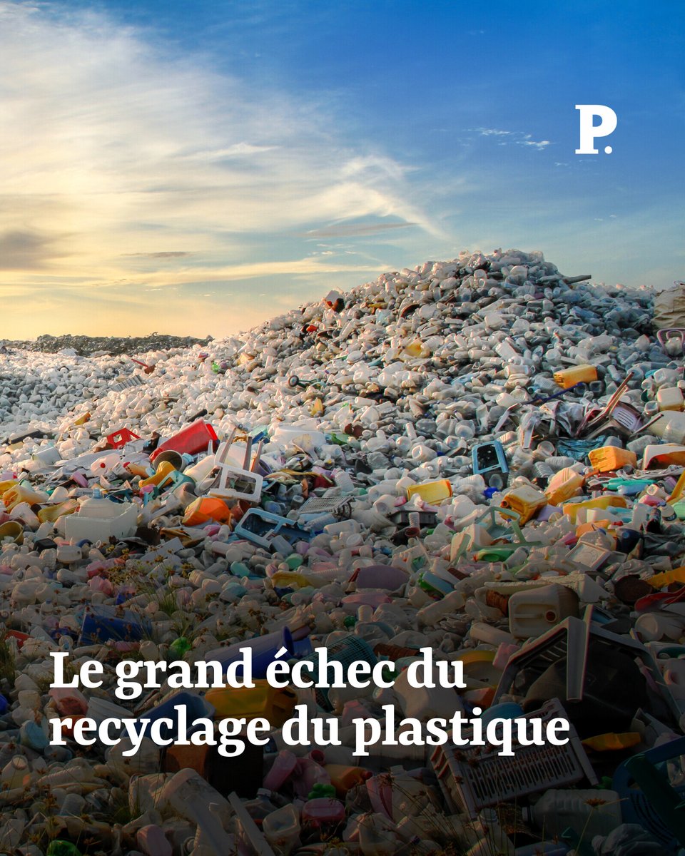 Le Point (@lepoint) on Twitter photo Une étude d’une ampleur inédite révèle que moins de 10 % des plastiques dans le monde sont fabriqués à partir de matériaux recyclés.
➡️ l.lepoint.fr/04I
Par <a href="/ponsheloise/">Héloïse Pons</a> Une étude d’une ampleur inédite révèle que moins de 10 % des plastiques dans le monde sont fabriqués à partir de matériaux recyclés.
➡️ l.lepoint.fr/04I
Par <a href="/ponsheloise/">Héloïse Pons</a>