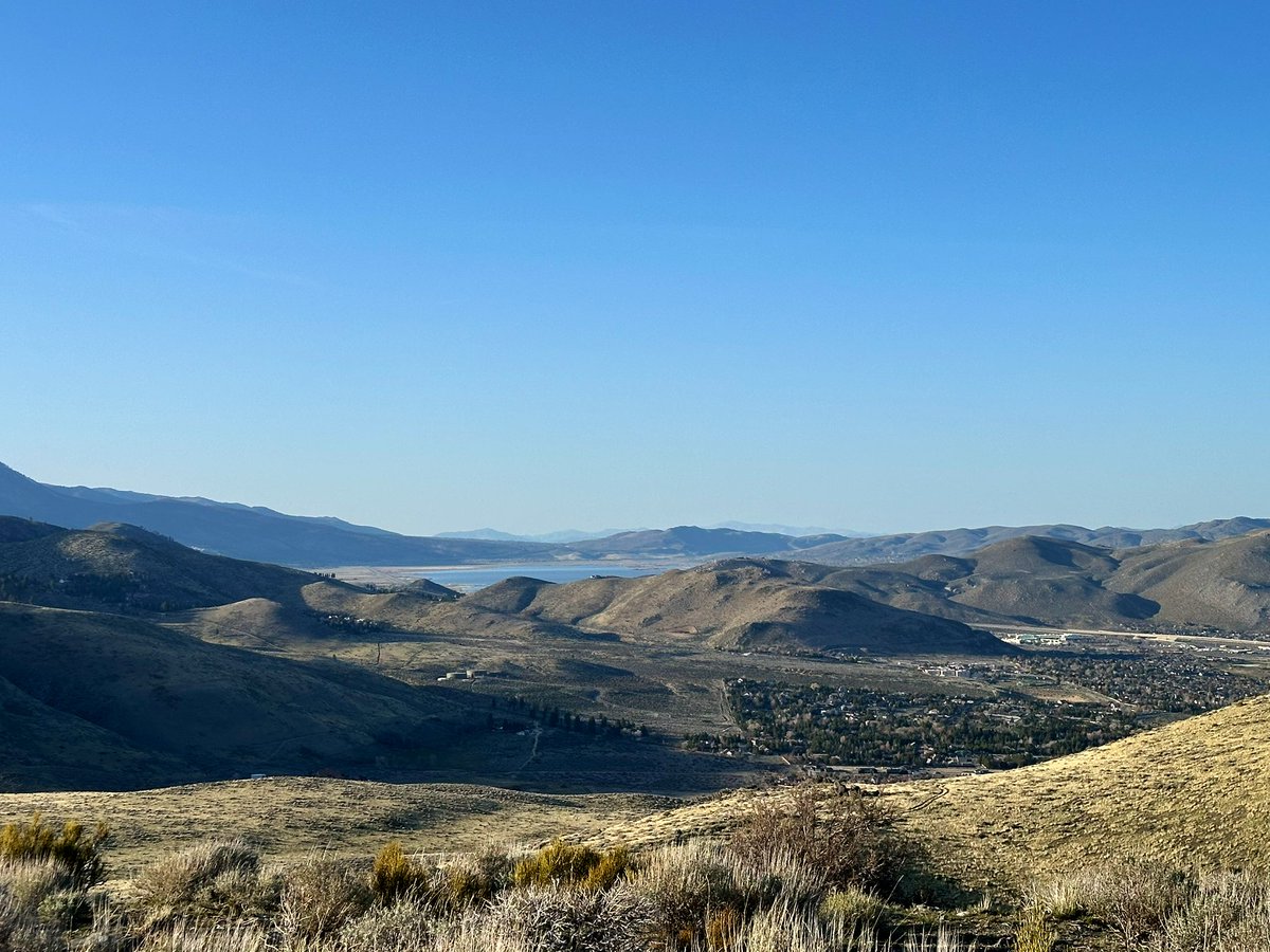 Nathan Quintal tweet media