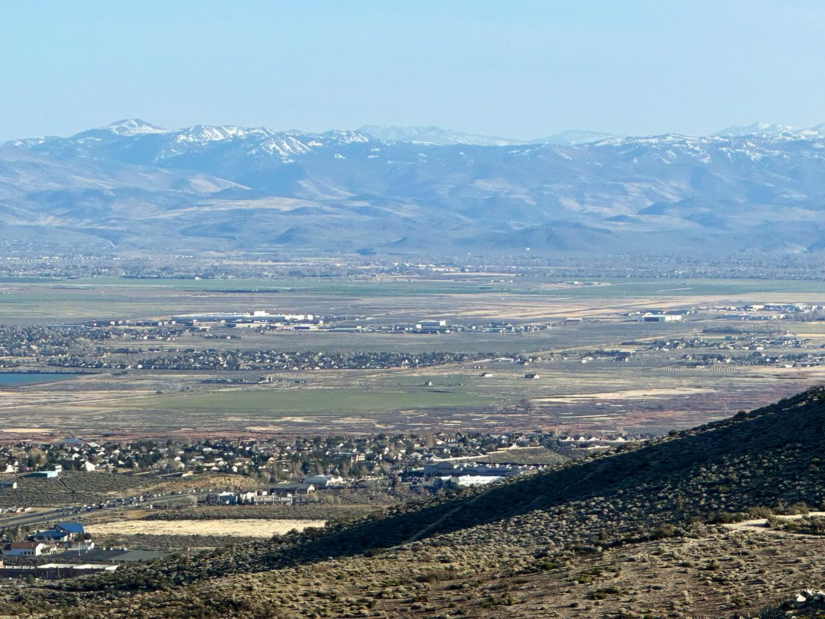 Nathan Quintal tweet media