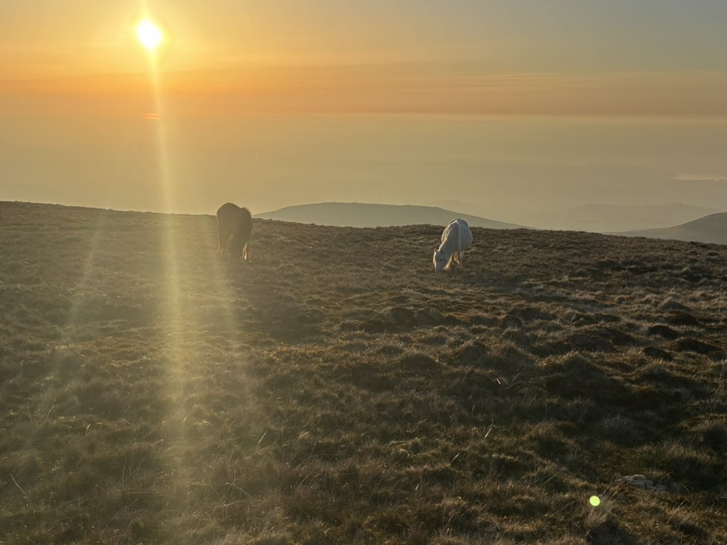 What a wonderful evening