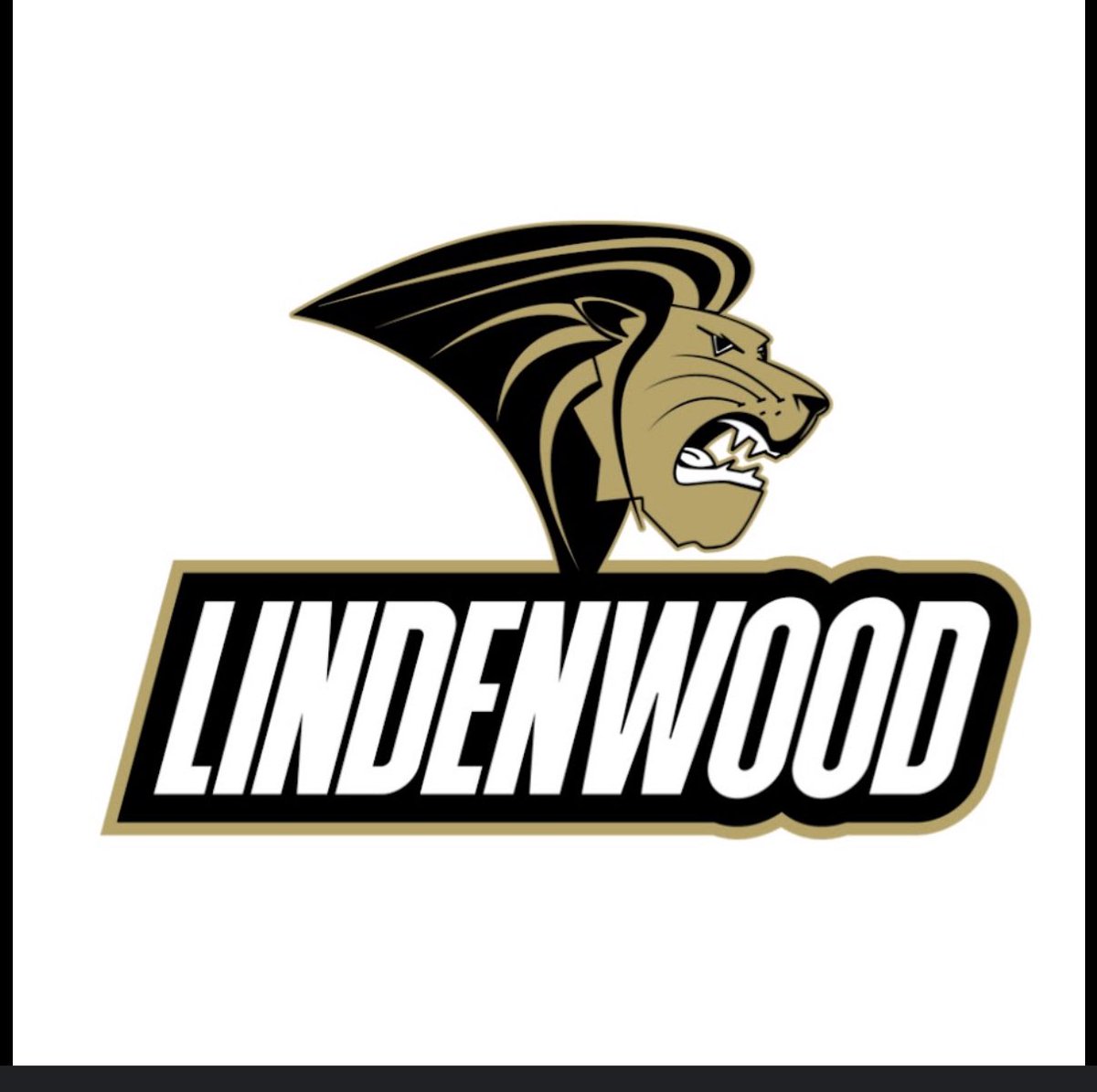 V_Williams3's tweet image. I will be at Lindenwood tomorrow @stugfb @CoachLawsonLU @Lindenwood_OC @Coach_HHarris @CoachJackson32 @Baldwin_CoachBB @JPRockMO @Coach_RayS @ScottPingel10