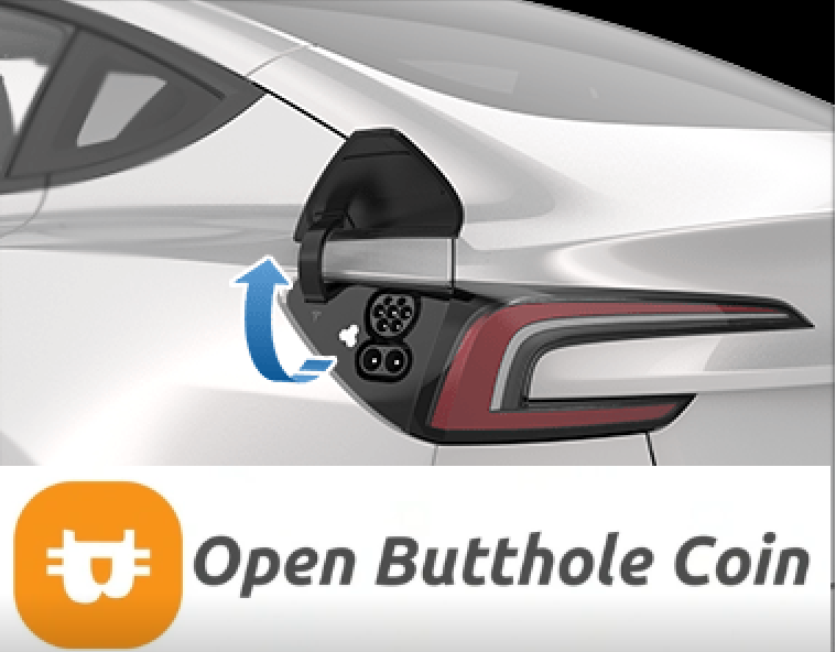 CatGirlDefi's tweet photo. @elonmusk $OBC is the way @ifindbuttholes (possibly connected to $RFC dev?) @IfindRetards https://t.co/iL25h6CIAu