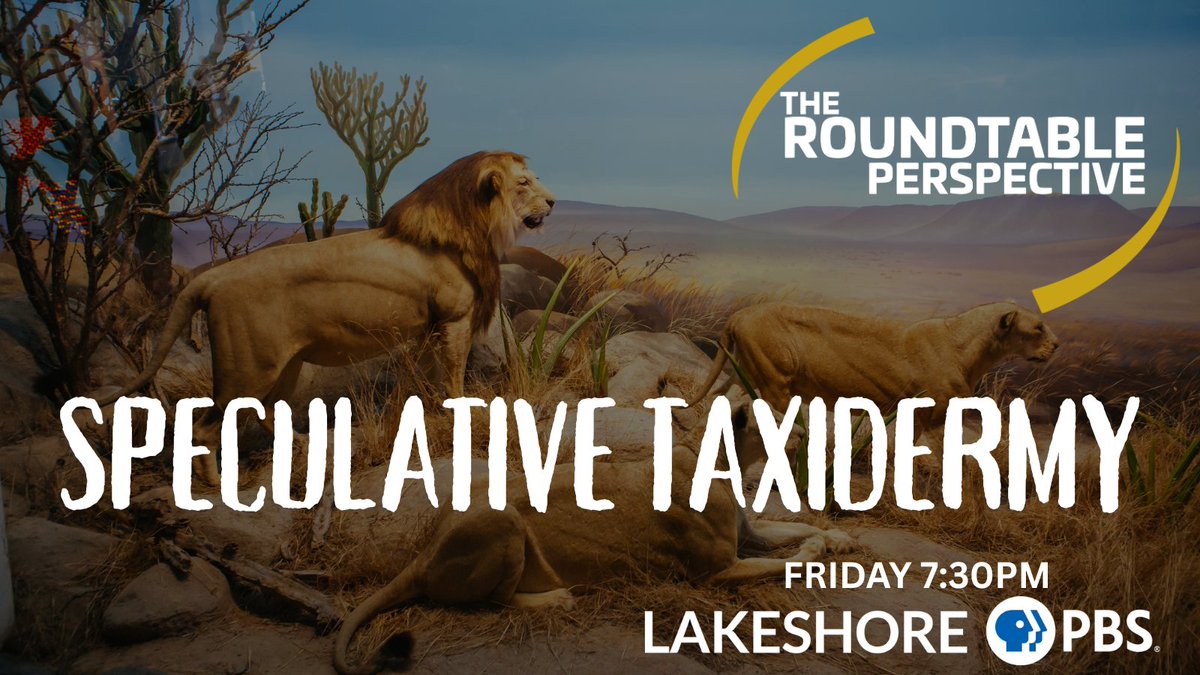 pnwroundtable's tweet image. Join us for an all-new episode of The Roundtable Perspective this Friday at 7:30 PM to dive deeper into taxidermy, the history, the controversy and the artistic merits. We have an engaging conversation and discover what it takes to create and appreciate this unique art form!