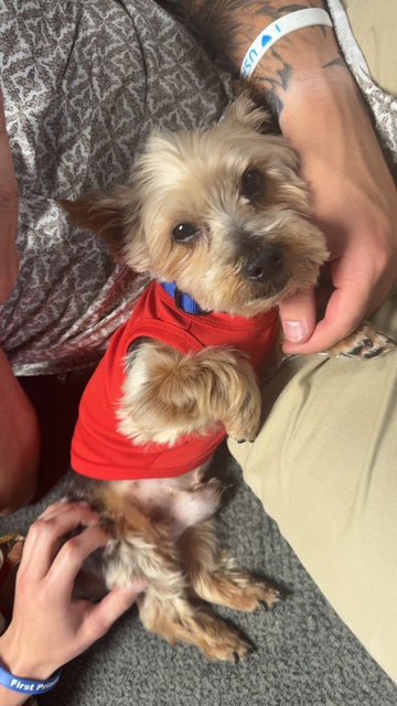 Kappa Sigma tweet media