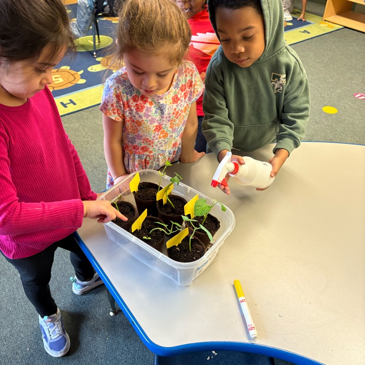SaginawISD's tweet photo. Hemmeter A: growing green thumbs and great minds🌱🧠✨ #KinderGardeners #LearningInBloom #WeekoftheYoungChild https://t.co/tWfRxAEXKV