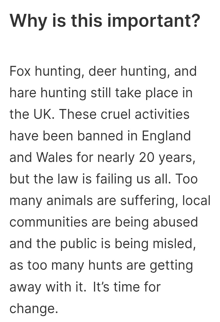 jolly_angelina's tweet image. I once believed the UK was a nation of #animal lovers. Yet  illegal #HuntingWithDogs,  needlessly #culling vast numbers of #badgers + #horse + #greyhound racing is allowed to continue. Pls speak up for those who have no voice @AmeleaTeckel @BadgerTrust @HuntSabs @ChrisGPackham