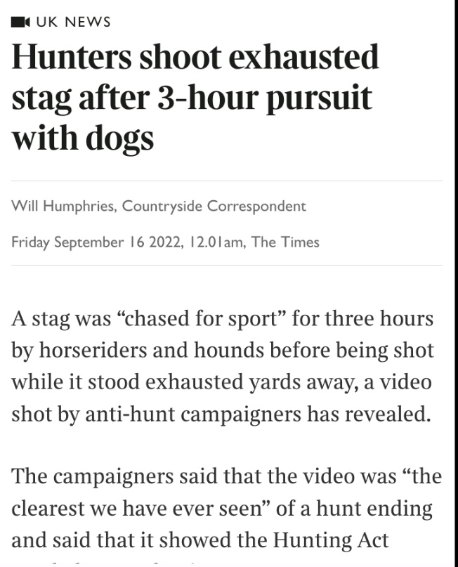jolly_angelina's tweet image. I once believed the UK was a nation of #animal lovers. Yet  illegal #HuntingWithDogs,  needlessly #culling vast numbers of #badgers + #horse + #greyhound racing is allowed to continue. Pls speak up for those who have no voice @AmeleaTeckel @BadgerTrust @HuntSabs @ChrisGPackham