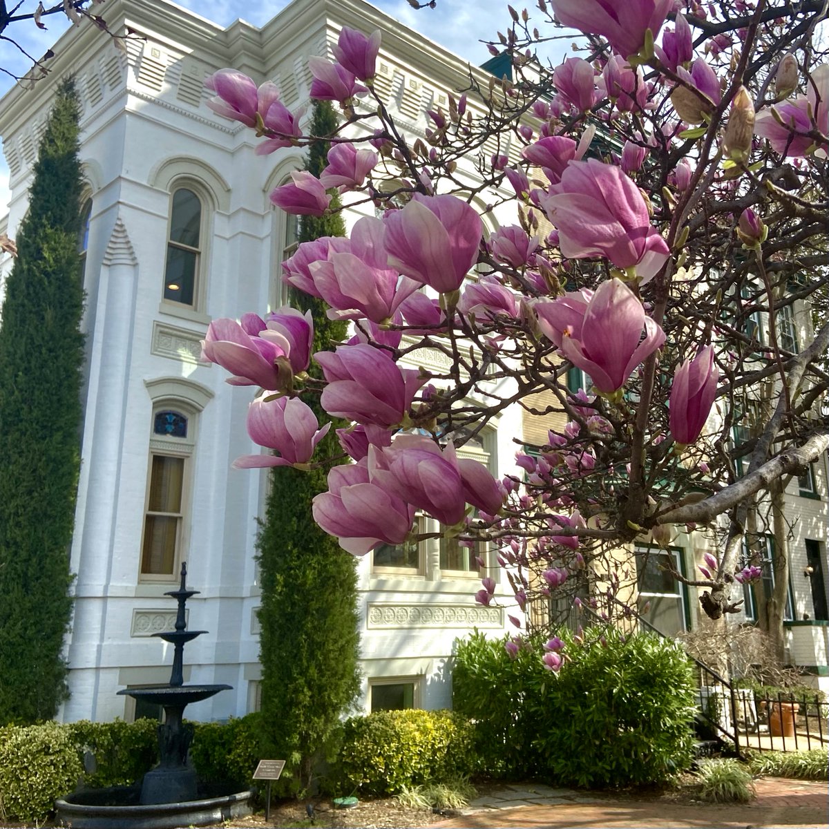 Florida House tweet media