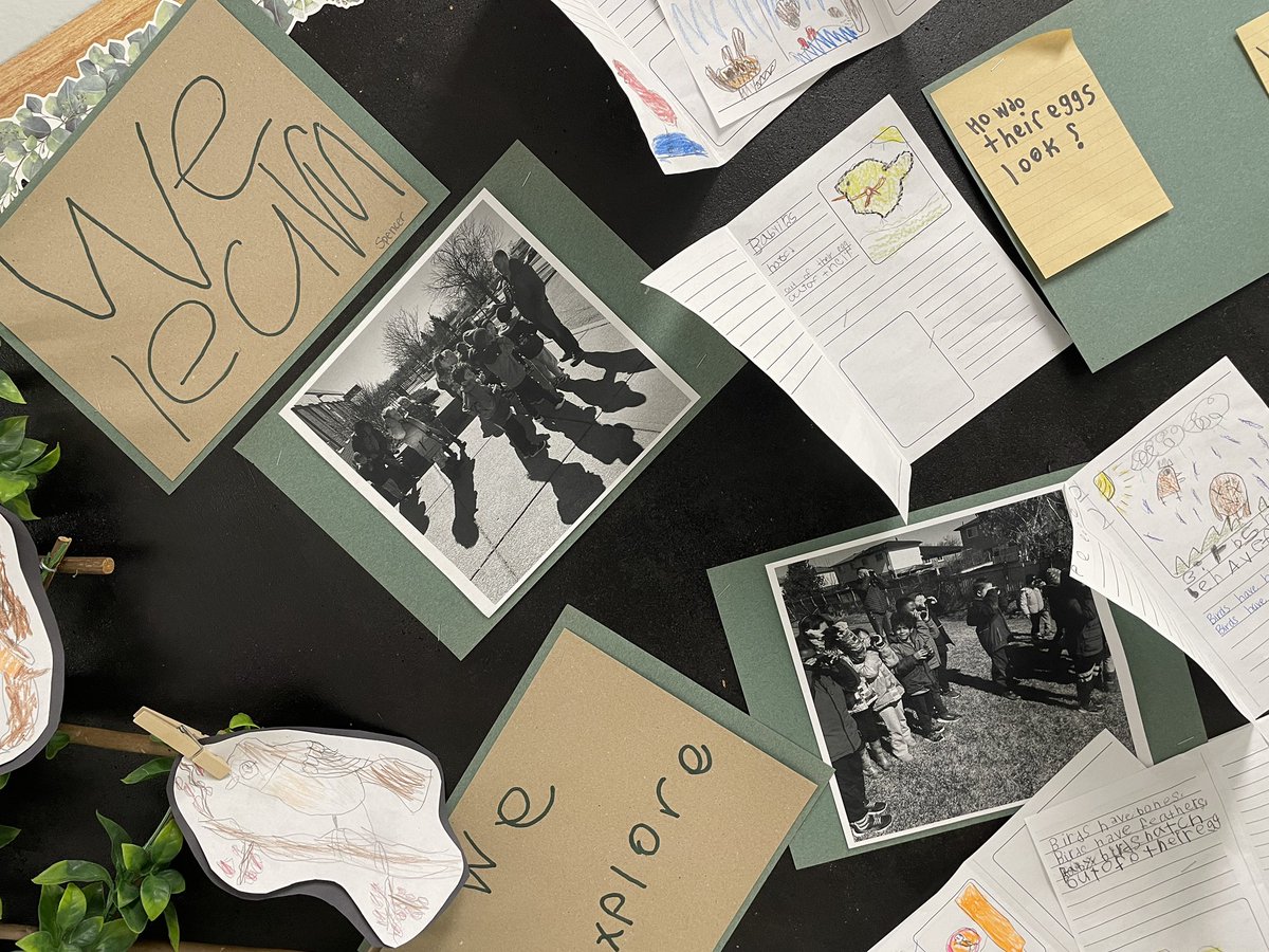 <a href="/renda_elena/">Mrs. Renda SK/1</a> SK/1s have completed an #inquiry into #birds after our guided bird walk!  Look what we’ve learned!!! #VanierVikings <a href="/DBirk71/">Dan Birkenbergs</a> <a href="/BirdsCanada/">Birds Canada</a> <a href="/BirdsCanada_ON/">Birds Canada - Ontario Region</a> <a href="/ofobirds/">OFO birds</a> <a href="/ECOVanier/">GEORGES VANIER ECO TEAM</a>