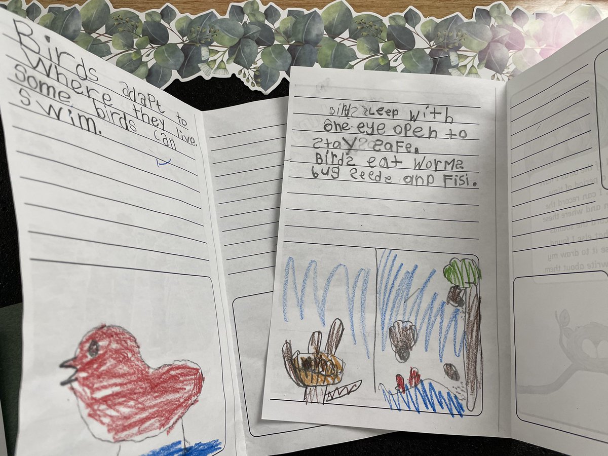 GVanierDPCDSB's tweet photo. @renda_elena SK/1s have completed an #inquiry into #birds after our guided bird walk!  Look what we’ve learned!!! #VanierVikings @DBirk71 @BirdsCanada @BirdsCanada_ON @ofobirds @ECOVanier https://t.co/72V7gKTnPg
