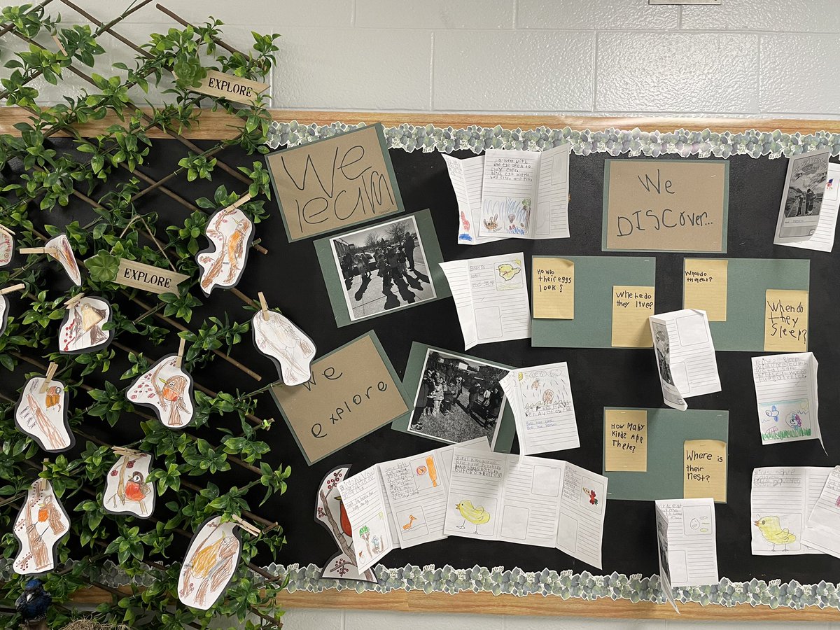 GVanierDPCDSB's tweet photo. @renda_elena SK/1s have completed an #inquiry into #birds after our guided bird walk!  Look what we’ve learned!!! #VanierVikings @DBirk71 @BirdsCanada @BirdsCanada_ON @ofobirds @ECOVanier https://t.co/72V7gKTnPg