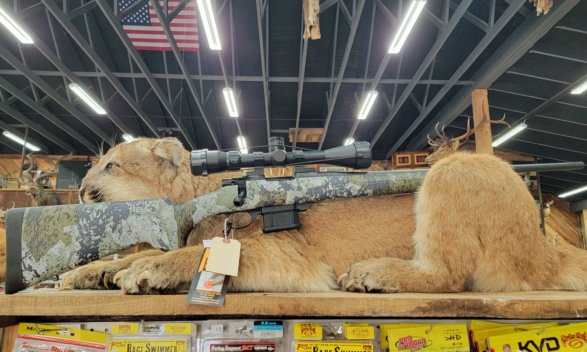 outdoors_deer's tweet image. Although it was sold before I could post the picture, we can always order more of anyone is interested. So, check out this .22 ARC M1500 from Howa Legexy. 

#Howa #HowaLegecy #22ARC #NewArrivals