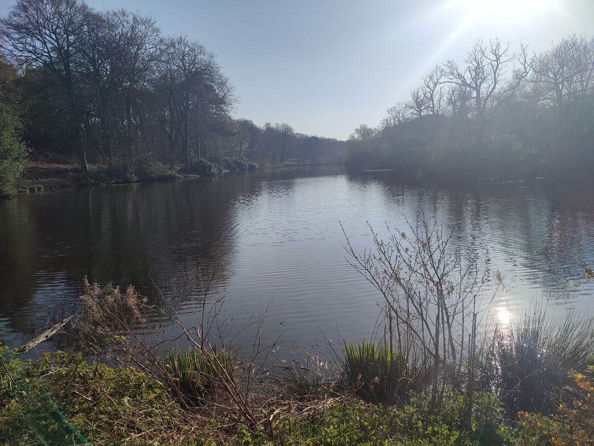 arnoldbiker's tweet photo. Lovely post work walk tonight on a route my pal @InLoveWithAView showed me before he departed these shores to NZ https://t.co/lmNbxAtQt6